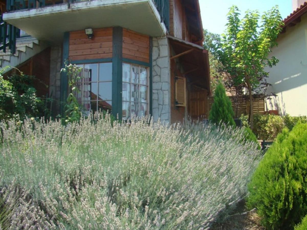 Zeus-Village Οικισμός Φινλανδικών Chalet Με Πισίνες & Γυμναστήριο Molos  Oda fotoğraf